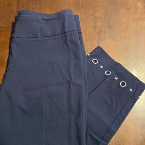 NWOT Zac & Rachel capris